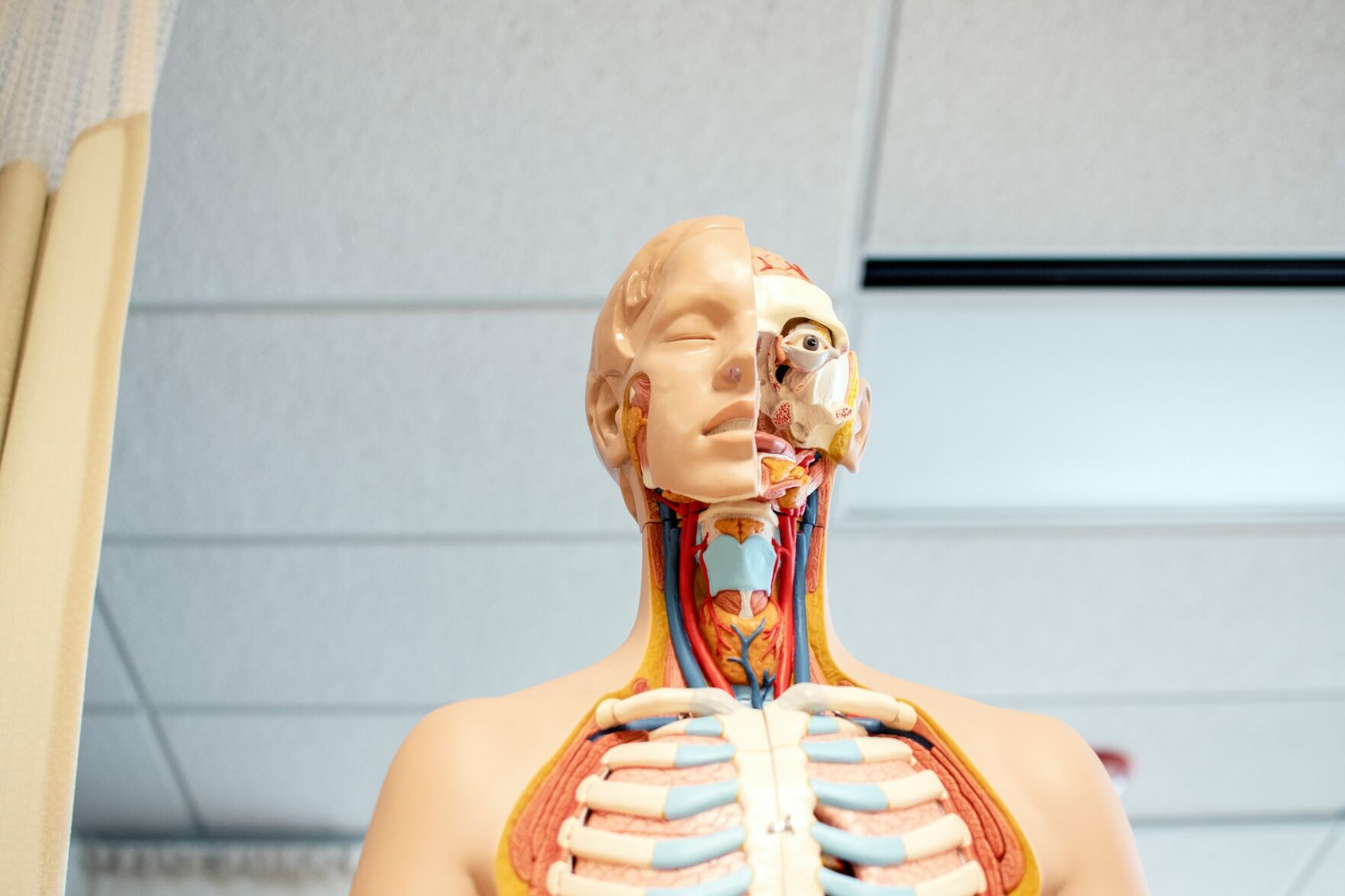 Human body functions are regulated in large part by peptides